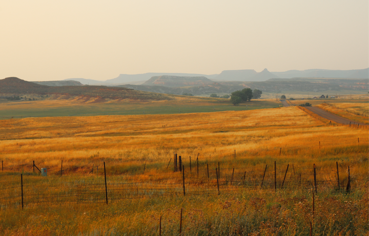 Colorado Wyoming roadside field
